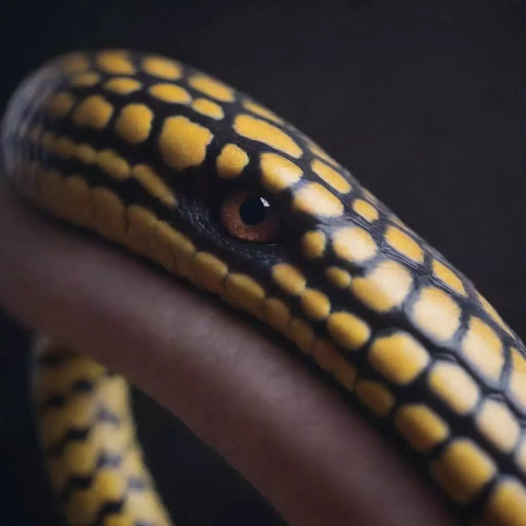 Создание по на python